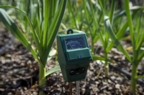 The Best Soil Moisture Meter to Optimize Watering